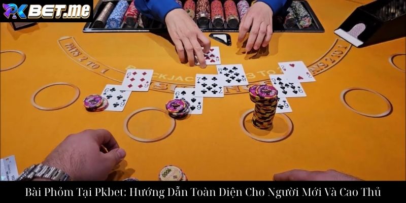 Bài Phỏm Tại Pkbet: Hướng Dẫn Toàn Diện Cho Người Mới Và Cao Thủ