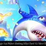 Bắn Cá Bingo Tại Pkbet Hướng Dẫn Chơi Và Mẹo Chiến Thắng