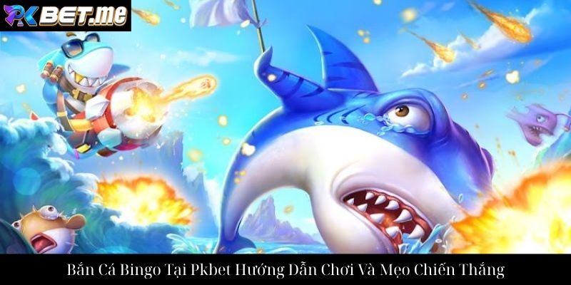 Bắn Cá Bingo Tại Pkbet Hướng Dẫn Chơi Và Mẹo Chiến Thắng