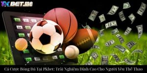 Cá Cược Boxing Tại Pkbet: Hướng Dẫn Toàn Diện Cho Người Mới