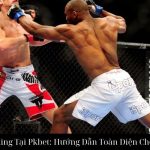 Cá Cược Boxing Tại Pkbet: Hướng Dẫn Toàn Diện Cho Người Mới