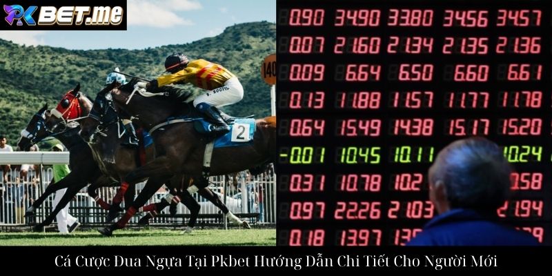 Cá Cược Đua Ngựa Tại Pkbet Hướng Dẫn Chi Tiết Cho Người Mới