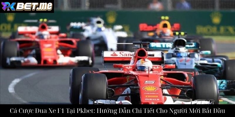 Cá Cược Đua Xe F1 Tại Pkbet: Hướng Dẫn Chi Tiết Cho Người Mới Bắt Đầu