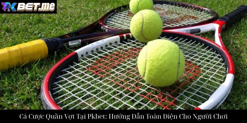 Cá Cược Quần Vợt Tại Pkbet: Hướng Dẫn Toàn Diện Cho Người Chơi