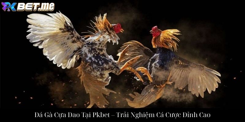 Đá Gà Cựa Dao Tại Pkbet – Trải Nghiệm Cá Cược Đỉnh Cao