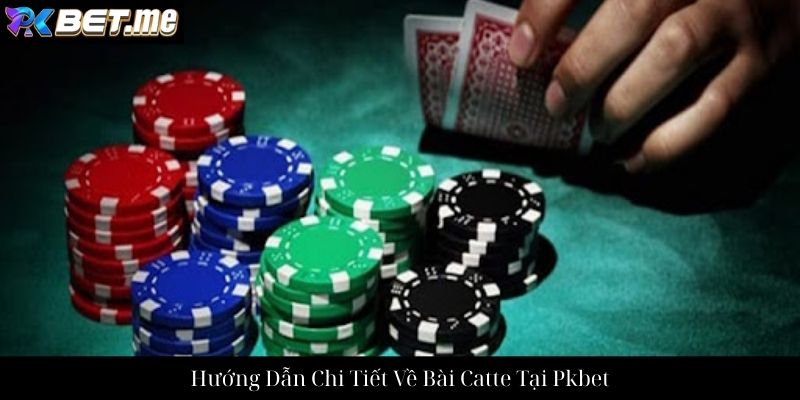 Hướng Dẫn Chi Tiết Về Bài Catte Tại Pkbet
