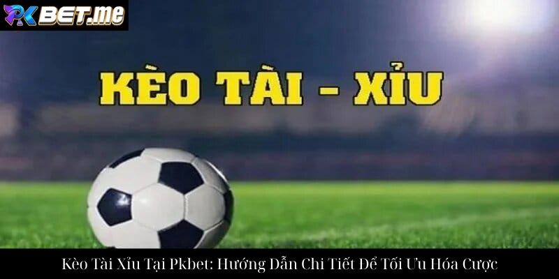 Kèo Tài Xỉu Tại Pkbet: Hướng Dẫn Chi Tiết Để Tối Ưu Hóa Cược