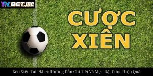 Cá Cược Boxing Tại Pkbet: Hướng Dẫn Toàn Diện Cho Người Mới