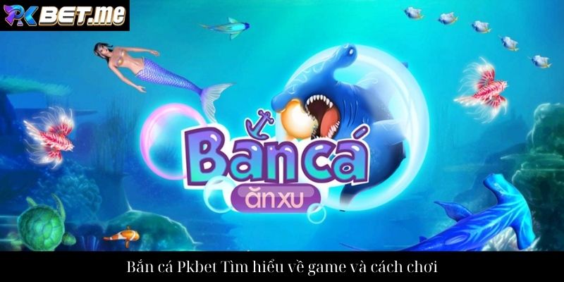 Bắn cá Pkbet Tìm hiểu về game và cách chơi