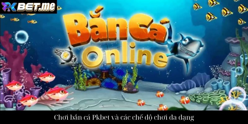 Chơi bắn cá Pkbet và các chế độ chơi đa dạng